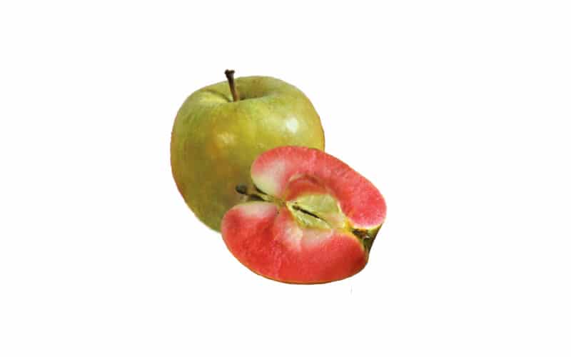 Co-op Sales Local Organic Airlie Red Apple Co-op Sales Local Organic Airlie Red Apple